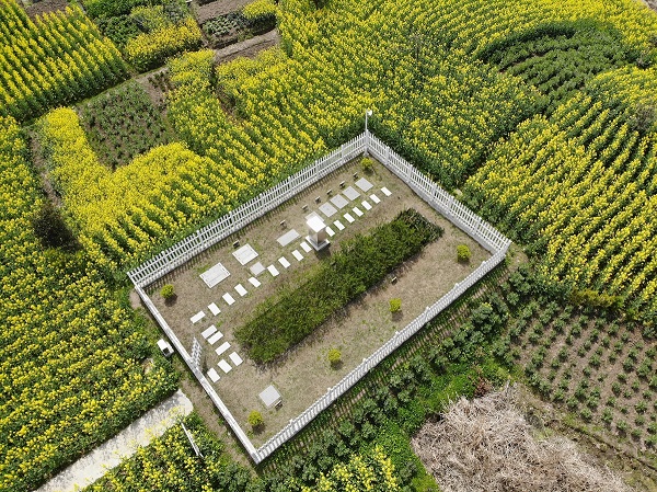 僅需2周，水質(zhì)就穩(wěn)定達標！這種一體化生活污水處理設備供不應求